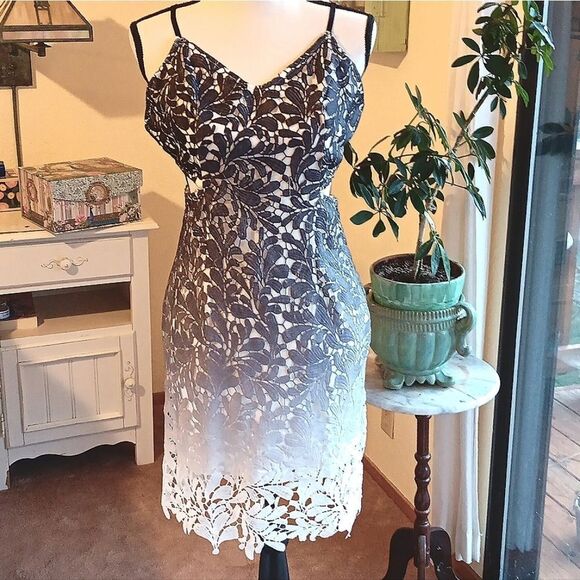 Fashion Nova Lace Ombre Cut-Out Mini Dress. Cocktails, Evening,  Fairycore - Picture 2 of 14